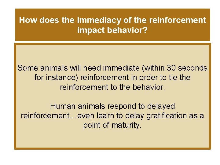 How does the immediacy of the reinforcement impact behavior? Some animals will need immediate