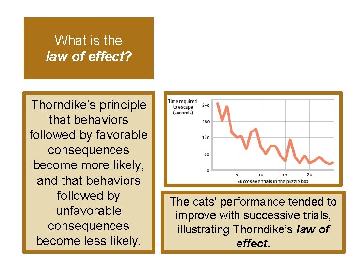 What is the law of effect? Thorndike’s principle that behaviors followed by favorable consequences