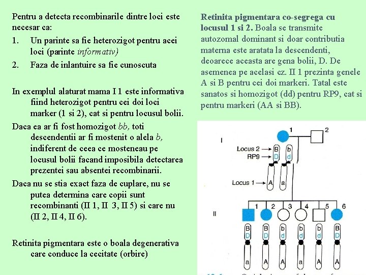 Pentru a detecta recombinarile dintre loci este necesar ca: 1. Un parinte sa fie