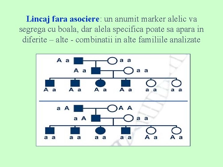 Lincaj fara asociere: un anumit marker alelic va segrega cu boala, dar alela specifica