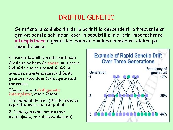 DRIFTUL GENETIC Se refera la schimbarile de la parinti la descendenti a frecventelor genice;