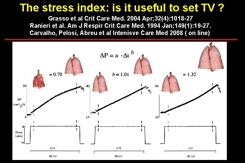 The stress index: is it useful to set TV ? Grasso et al Crit