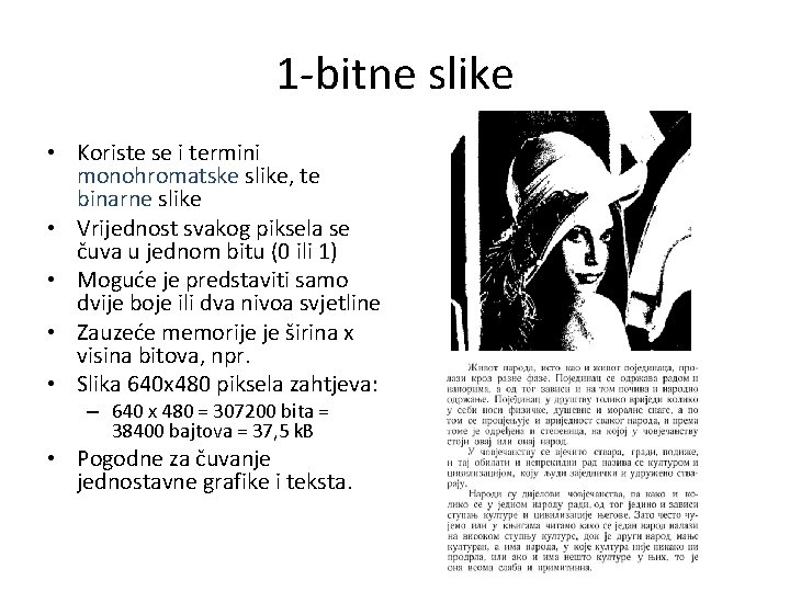 1 -bitne slike • Koriste se i termini monohromatske slike, te binarne slike •