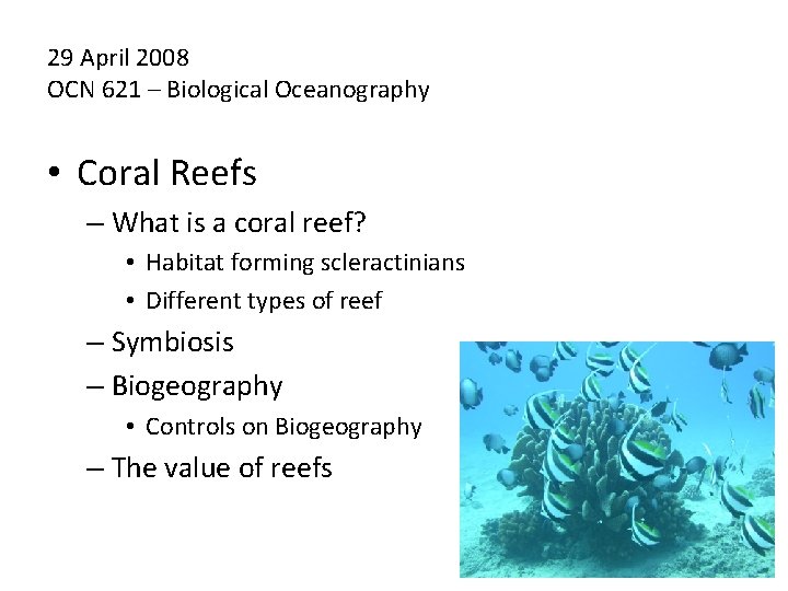 29 April 2008 OCN 621 – Biological Oceanography • Coral Reefs – What is