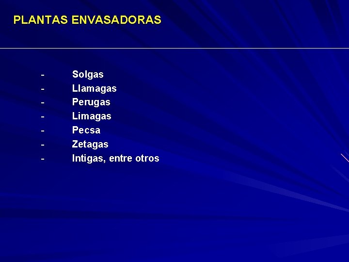 PLANTAS ENVASADORAS - Solgas Llamagas Perugas Limagas Pecsa Zetagas Intigas, entre otros 