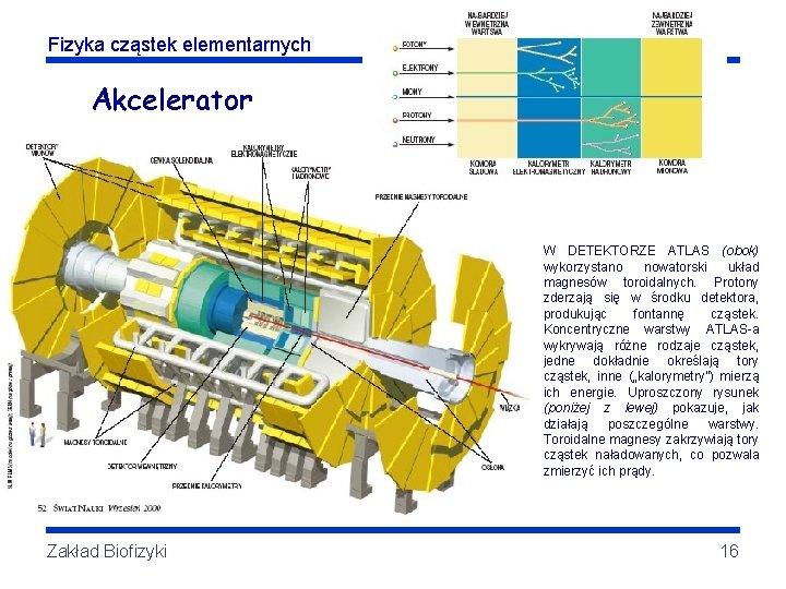 Fizyka cząstek elementarnych Akcelerator W DETEKTORZE ATLAS (obok) wykorzystano nowatorski układ magnesów toroidalnych. Protony