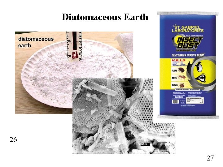 Diatomaceous Earth 26 27 