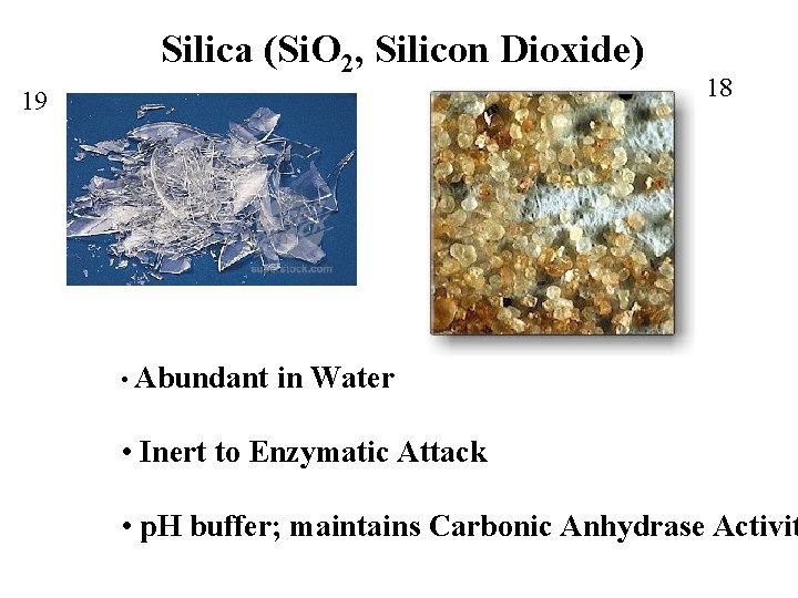 Silica (Si. O 2, Silicon Dioxide) 19 • Abundant 18 in Water • Inert