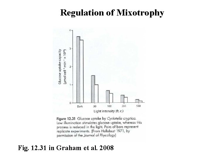 Regulation of Mixotrophy Fig. 12. 31 in Graham et al. 2008 