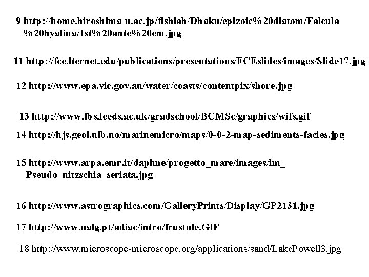 9 http: //home. hiroshima-u. ac. jp/fishlab/Dhaku/epizoic%20 diatom/Falcula %20 hyalina/1 st%20 ante%20 em. jpg 11