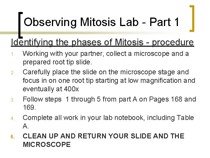 Observing Mitosis Lab - Part 1 Identifying the phases of Mitosis - procedure 1. Observing Mitosis Lab - Part 1 Identifying the phases of Mitosis - procedure 1.