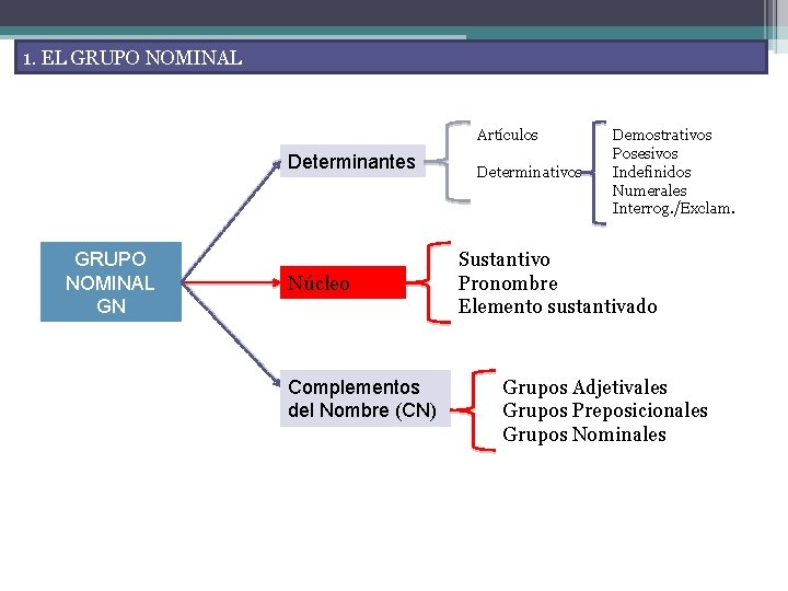 1. EL GRUPO NOMINAL Artículos Determinantes GRUPO NOMINAL GN Núcleo Complementos del Nombre (CN)