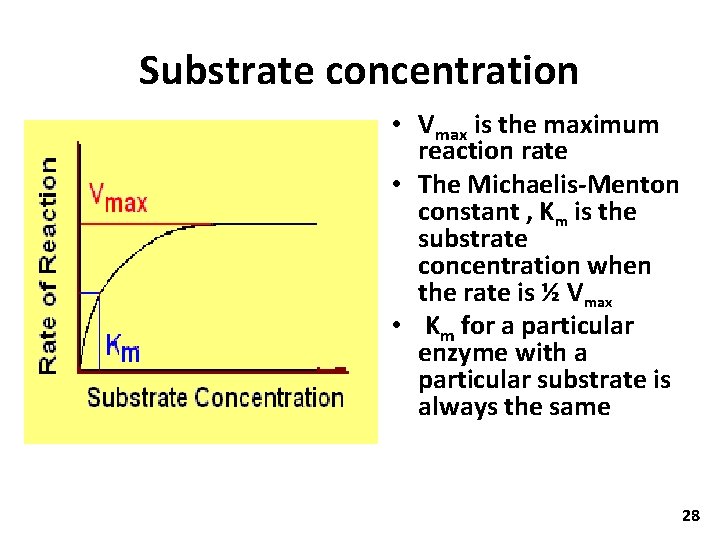 Substrate concentration • Vmax is the maximum reaction rate • The Michaelis-Menton constant ,