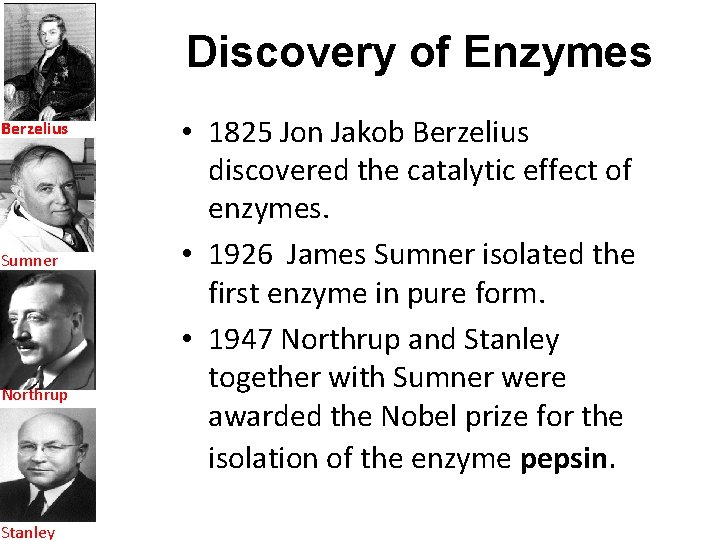 Discovery of Enzymes Berzelius Sumner Northrup Stanley • 1825 Jon Jakob Berzelius discovered the