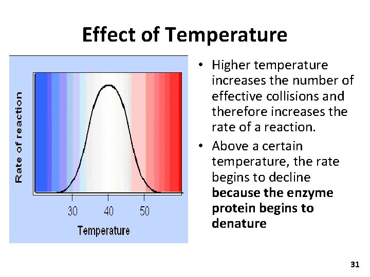 Effect of Temperature • Higher temperature increases the number of effective collisions and therefore