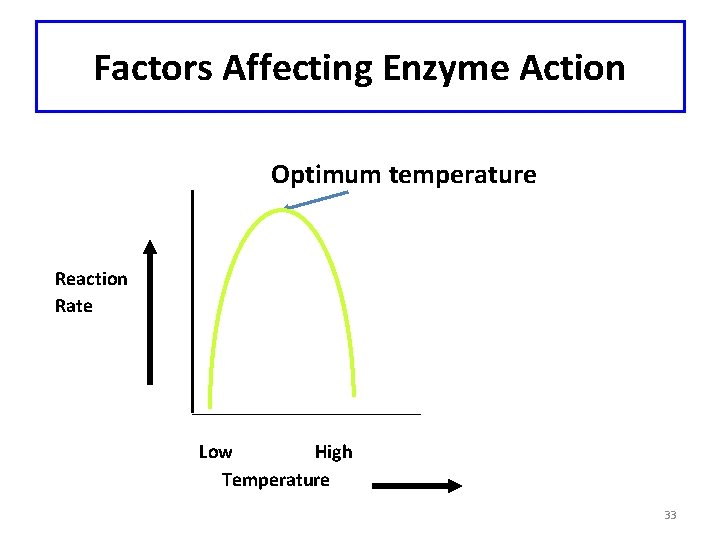 Factors Affecting Enzyme Action Optimum temperature Reaction Rate Low High Temperature 33 