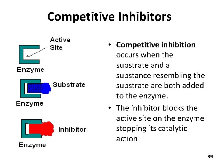 Competitive Inhibitors • Competitive inhibition occurs when the substrate and a substance resembling the