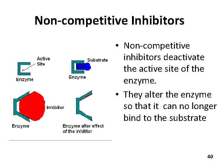 Non-competitive Inhibitors • Non-competitive inhibitors deactivate the active site of the enzyme. • They