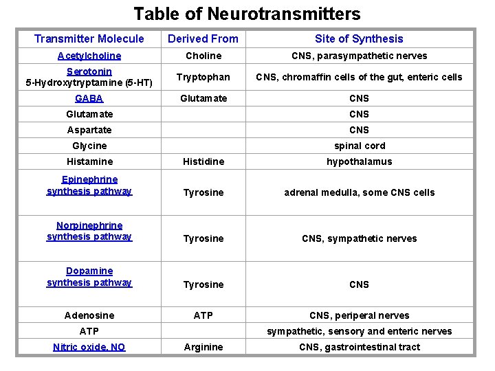 Table of Neurotransmitters Transmitter Molecule Derived From Site of Synthesis Acetylcholine CNS, parasympathetic nerves