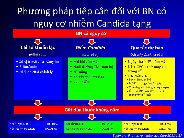 Phương pháp tiếp cân đối với BN có nguy cơ nhiễm Candida tạng BN