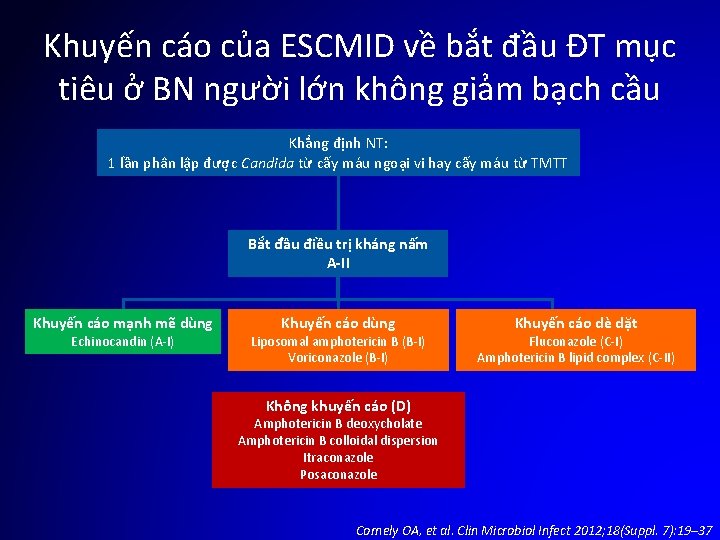 Khuyến cáo của ESCMID về bắt đầu ĐT mục tiêu ở BN người lớn