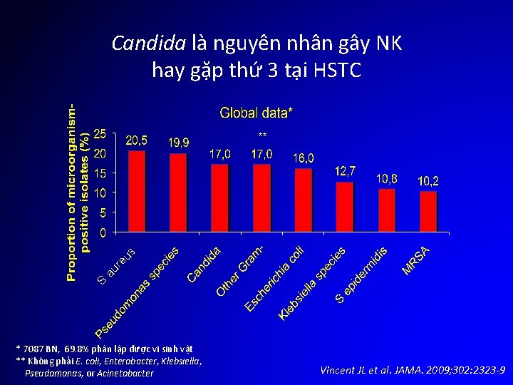 Candida là nguyên nhân gây NK hay gặp thứ 3 tại HSTC S au