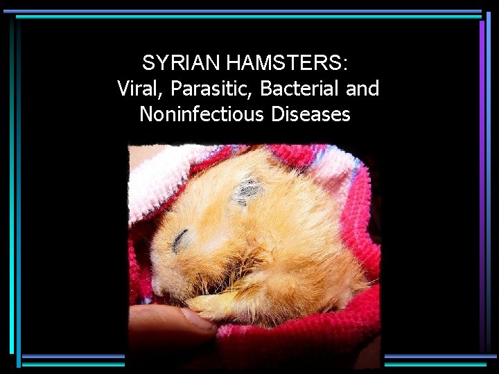 SYRIAN HAMSTERS: Viral, Parasitic, Bacterial and Noninfectious Diseases 