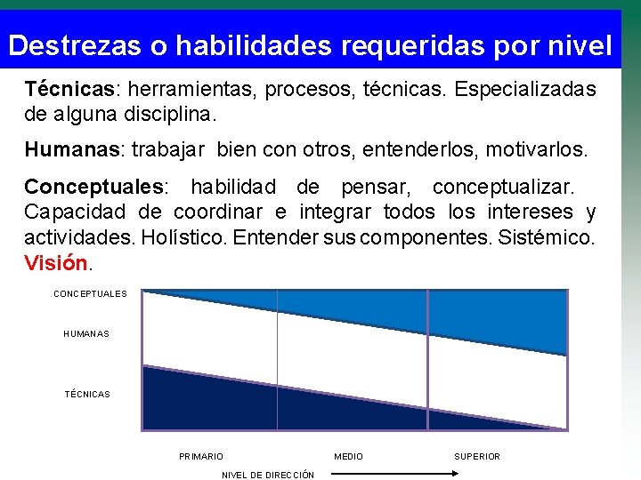 Destrezas o habilidades requeridas por nivel Técnicas: herramientas, procesos, técnicas. Especializadas de alguna disciplina.