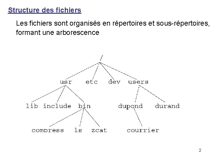 Structure des fichiers Les fichiers sont organisés en répertoires et sous-répertoires, formant une arborescence