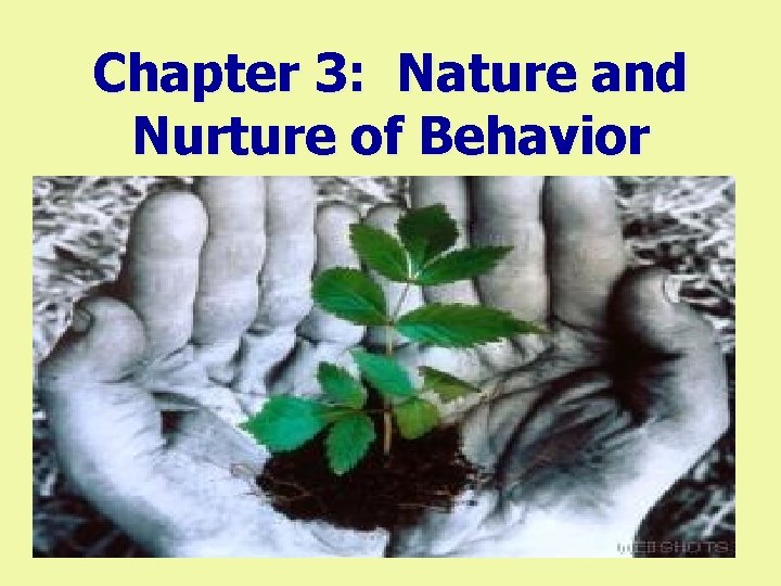 Chapter 3: Nature and Nurture of Behavior 