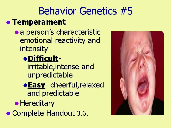 Behavior Genetics #5 l Temperament l a person’s characteristic emotional reactivity and intensity l.
