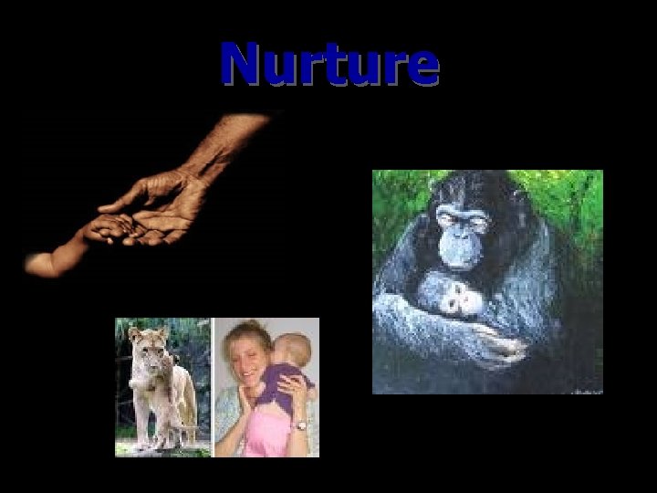 Nurture l 