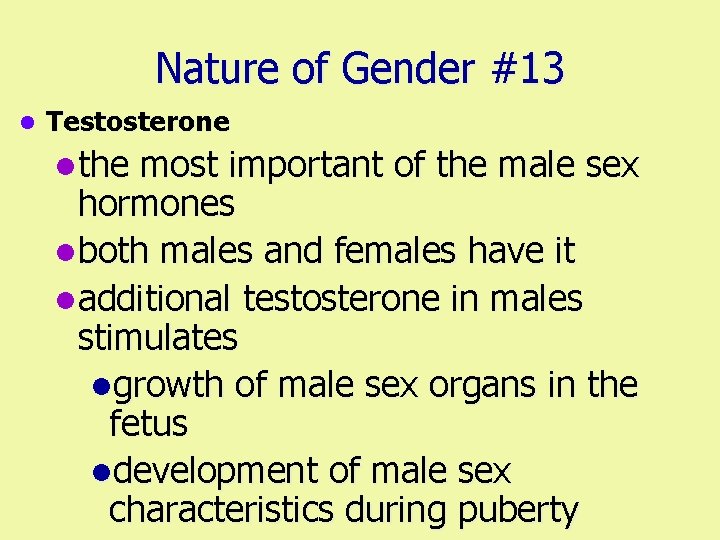 Nature of Gender #13 l Testosterone lthe most important of the male sex hormones