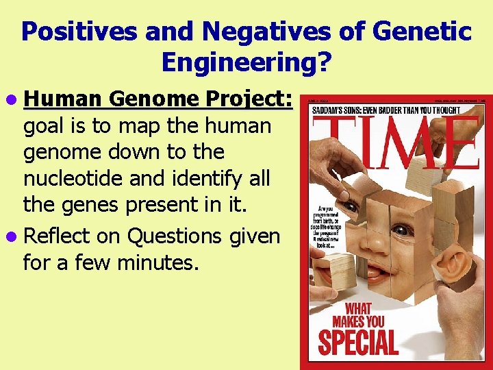 Positives and Negatives of Genetic Engineering? l Human Genome Project: goal is to map