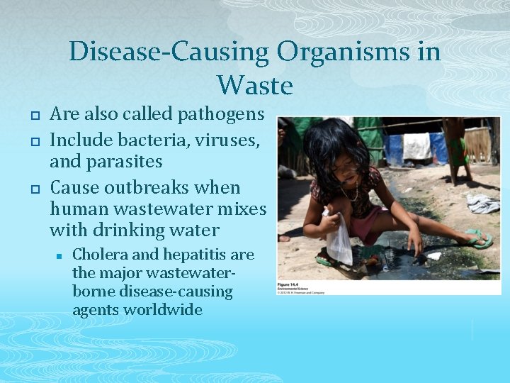 Disease-Causing Organisms in Waste p p p Are also called pathogens Include bacteria, viruses,