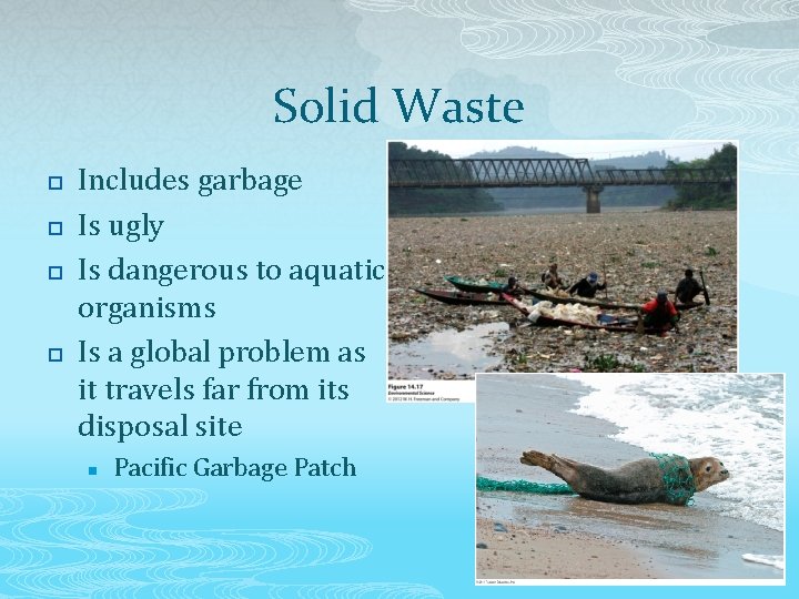 Solid Waste p p Includes garbage Is ugly Is dangerous to aquatic organisms Is
