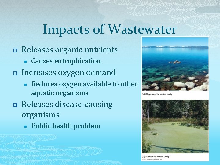 Impacts of Wastewater p Releases organic nutrients n p Increases oxygen demand n p