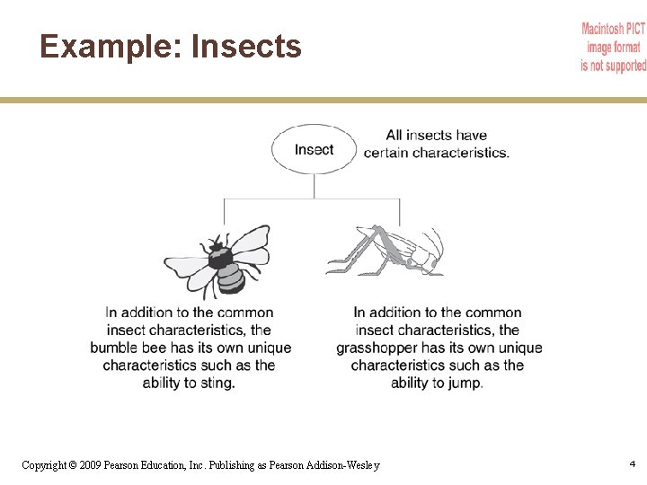 Example: Insects Copyright © 2009 Pearson Education, Inc. Publishing as Pearson Addison-Wesley 4 