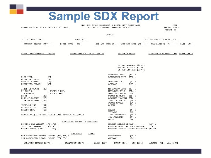 Sample SDX Report 