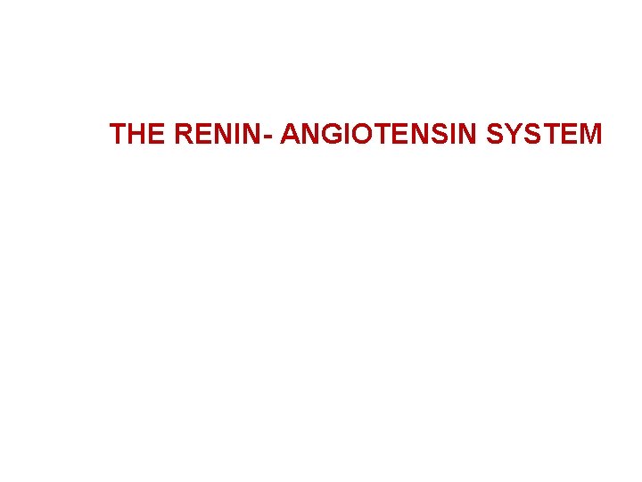 THE RENIN- ANGIOTENSIN SYSTEM 