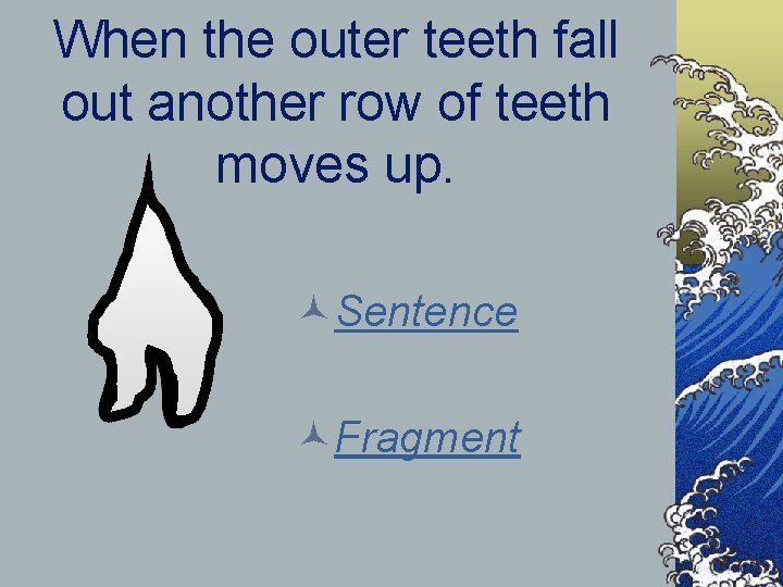 When the outer teeth fall out another row of teeth moves up. ©Sentence ©Fragment