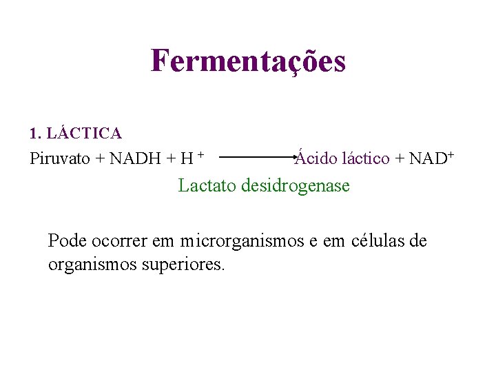 Fermentações 1. LÁCTICA Piruvato + NADH + Ácido láctico + NAD+ Lactato desidrogenase Pode Fermentações 1. LÁCTICA Piruvato + NADH + Ácido láctico + NAD+ Lactato desidrogenase Pode