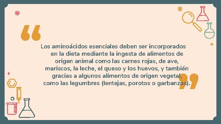 “ Los aminoácidos esenciales deben ser incorporados en la dieta mediante la ingesta de