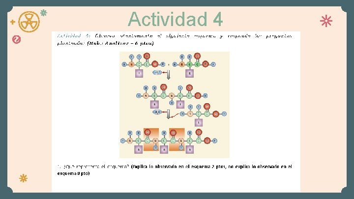 Actividad 4 