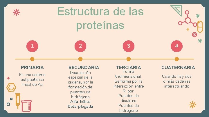 Estructura de las proteínas 1 PRIMARIA Es una cadena polipeptídica lineal de Aa 2