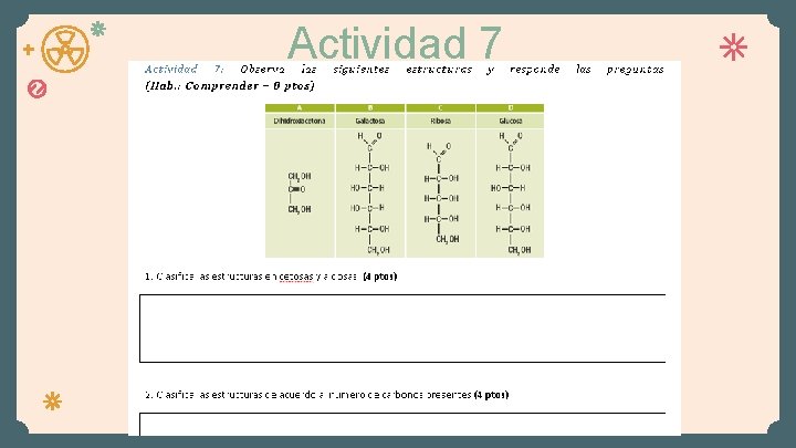 Actividad 7 