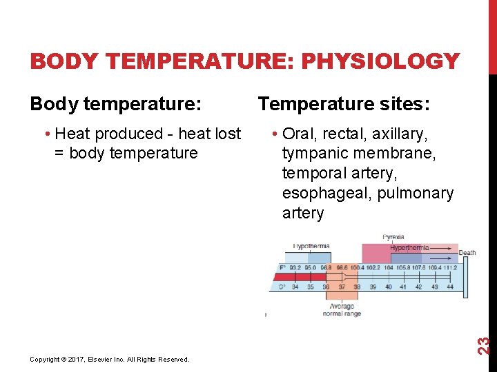 BODY TEMPERATURE: PHYSIOLOGY • Heat produced - heat lost = body temperature Copyright ©