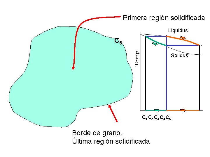Primera región solidificada Liquidus C 4 C 5 C 3 C 1 Solidus C Primera región solidificada Liquidus C 4 C 5 C 3 C 1 Solidus C