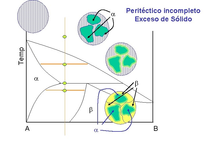 Peritéctico incompleto Exceso de Sólido Temp A B Peritéctico incompleto Exceso de Sólido Temp A B