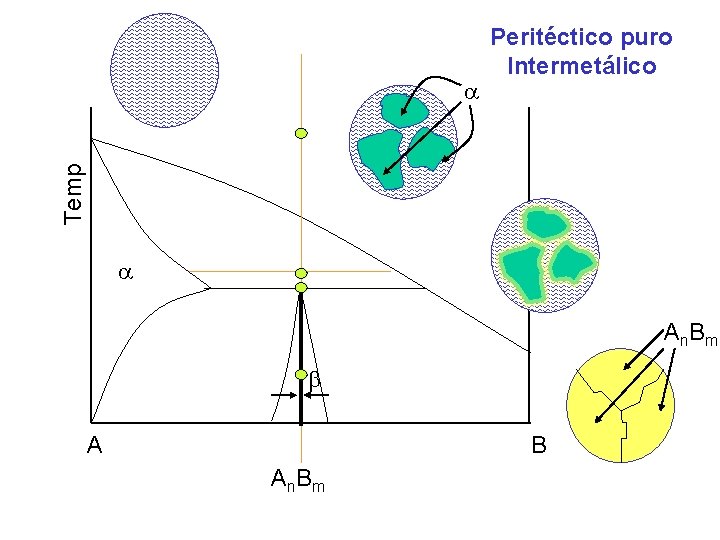 Temp Peritéctico puro Intermetálico A n. B m A B A n. B m Temp Peritéctico puro Intermetálico A n. B m A B A n. B m